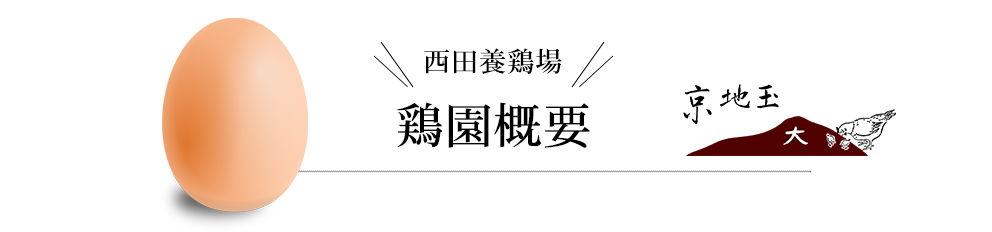 鶏園概要