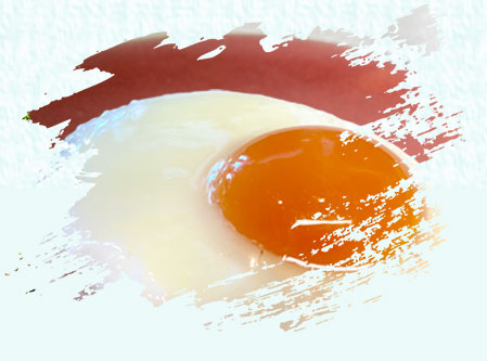 たまごかけごはん